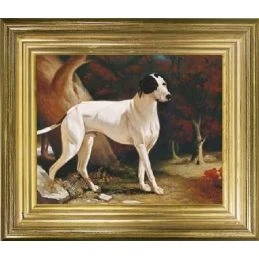 Obraz Pies Myśliwski w...