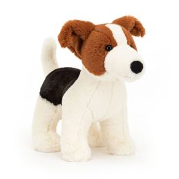 Jack Russell Terrier Albert...